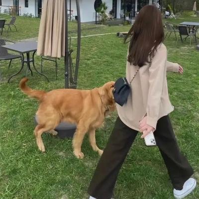黑金地的女人